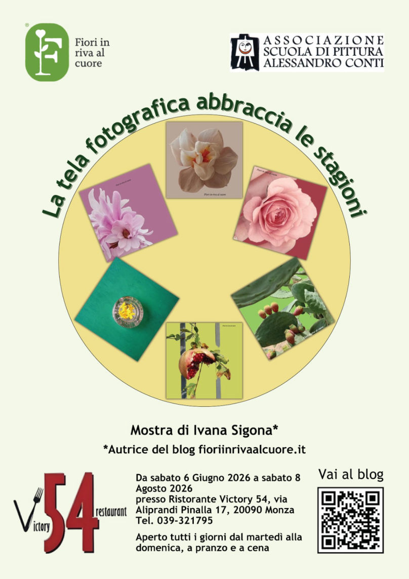Mostra 